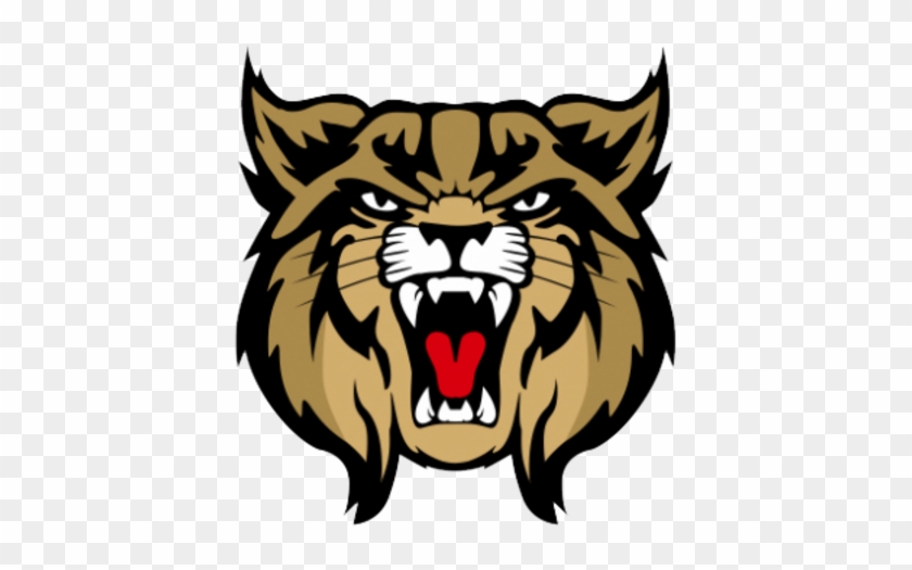 Brookings Logo - Brookings High School Bobcats #1225361