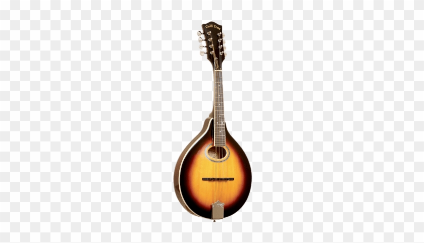 Gold Tone Banjo - Mandolin #1225459