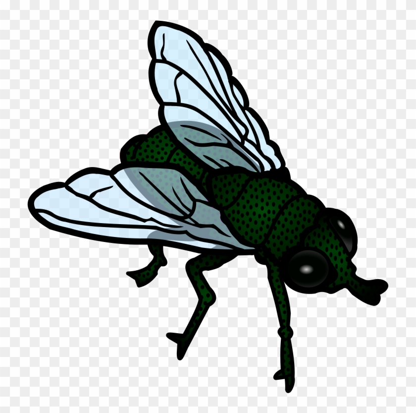 Top 68 Fly Clip Art - Transparent Flies Clip Art #1225537