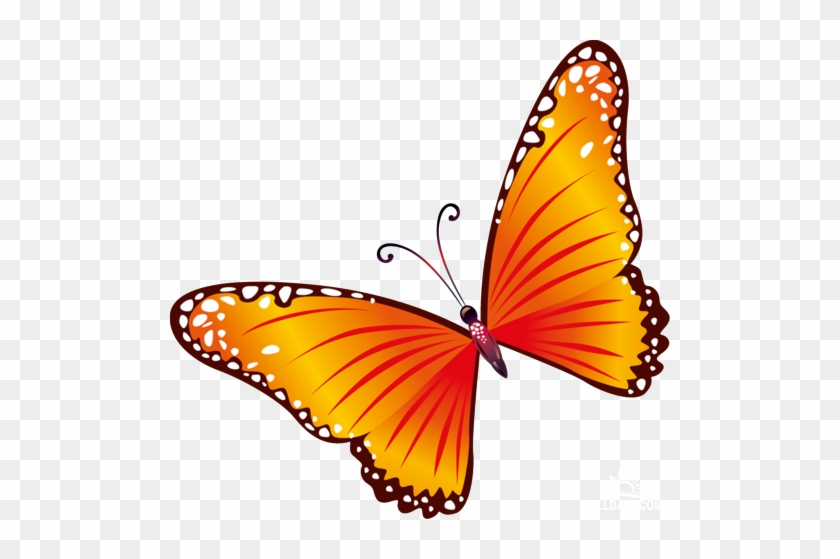 Here We Have Selected The Best Photos - Transparent Background Butterfly Clipart #1225715