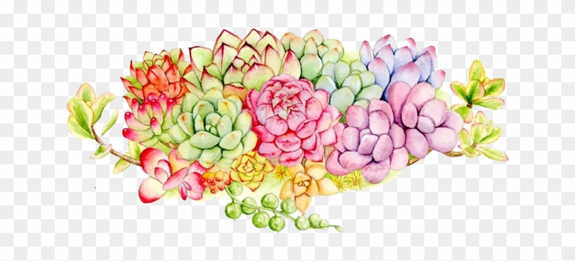 Succulent Plant Floral Design Watercolor Painting - Flower #1225803