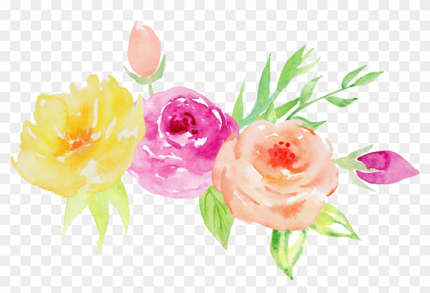 Garden Roses Watercolor Painting Floral Design Flower - 真夏 の 花束 イラスト 無料 #1225805