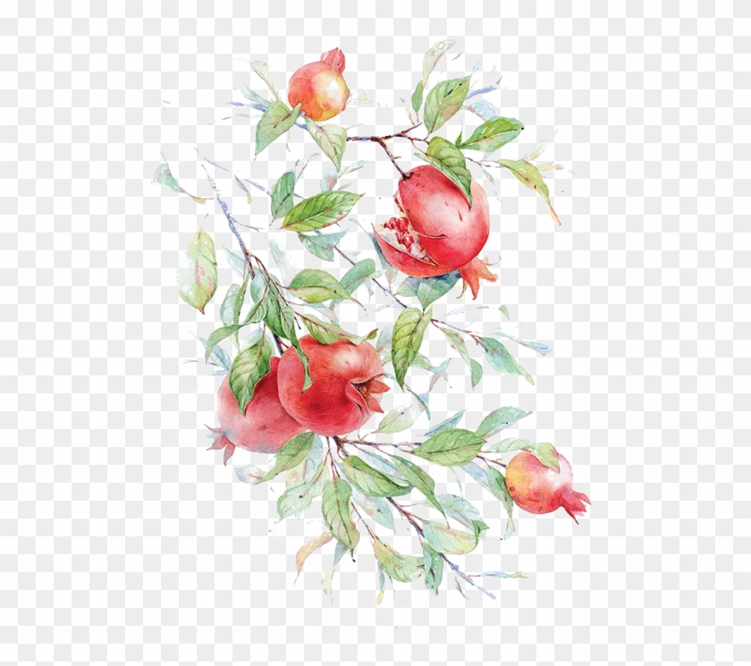 Watercolor Painting Pomegranate Drawing Flower Painting - نقاشی ساده با ابرنگ #1225871