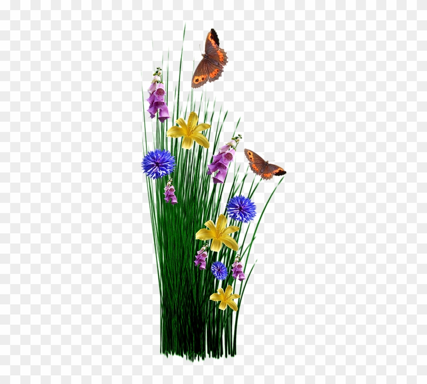 Spring, Flowers, Grass, Meadow, Plant, Garden, Nature - Aswb Supreme Decorative Butterfly And Flowers Welcome #1225880