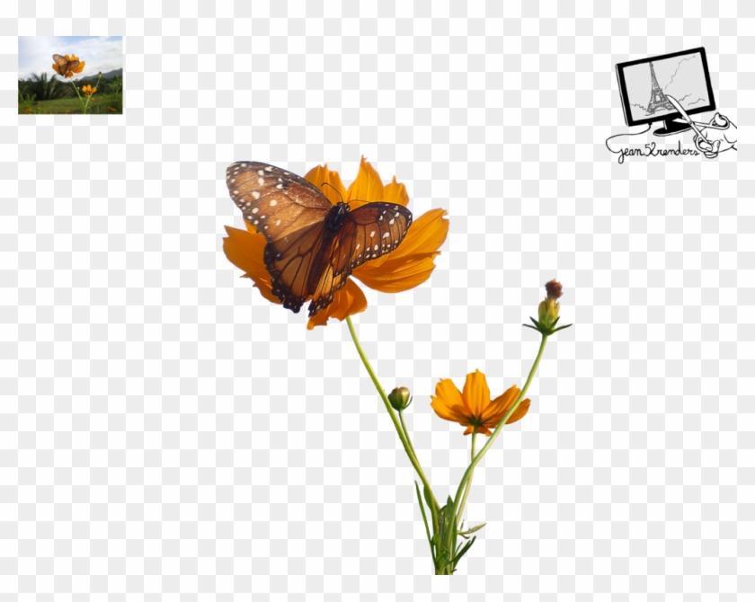Butterfly By Jean52 - Orange Lily #1225885
