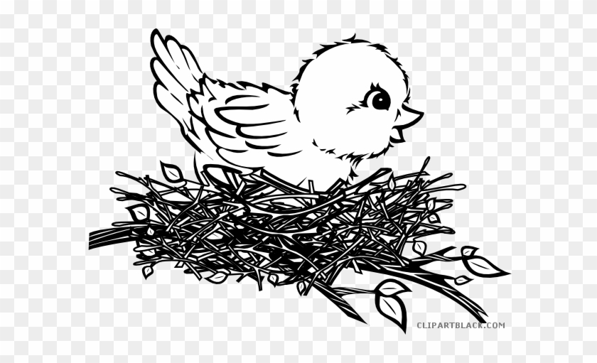 Black And White Chick Animal Free Black White Clipart - Bird In Nest Drawing #1225907