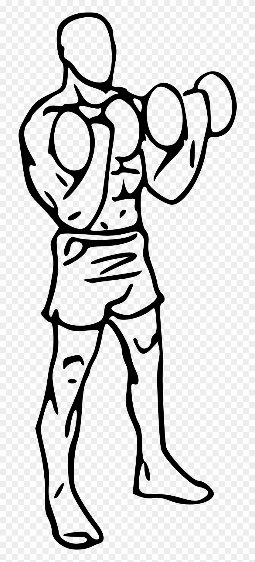 Biceps Drawing At Getdrawings Com Free For Personal - Cross Body Hammer Curl #1225994