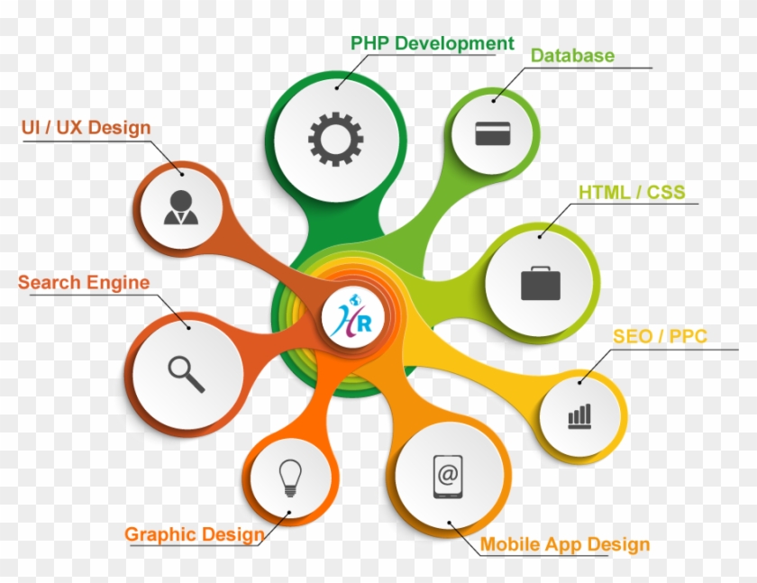 We Are The Best In Website Development And The Reasons - Custom Software Development Infographic #1226342
