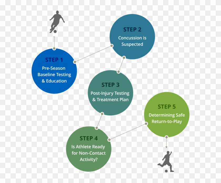 Impact Concussion Information - Impact Concussion Management Model #1226618