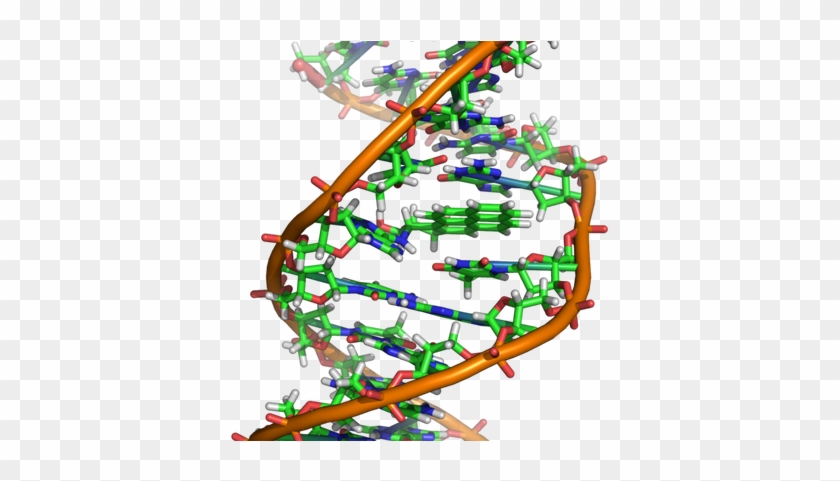 Biology - Biological Molecules #1226738