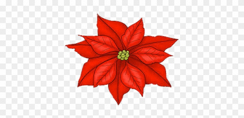 Single Poinsettia - Flower By Birth Month #1226827