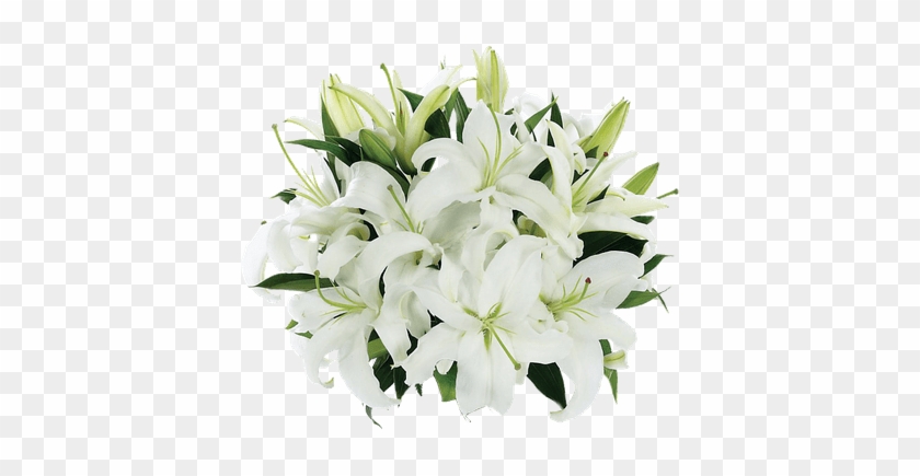 3d White Lilies, Image Victoria Drake - White Lily Bouquet Png #1226834