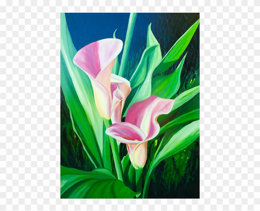 'calla Lilys' 36"x48" - Arum #1226855