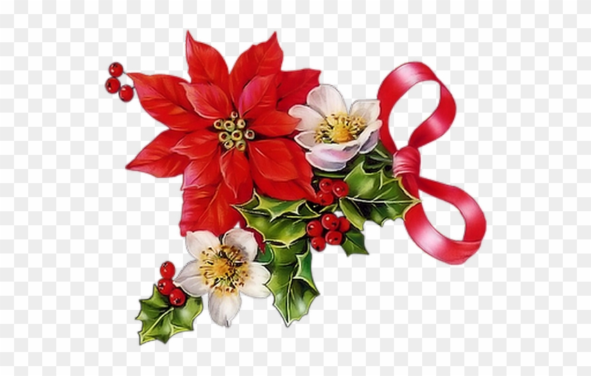 Christmas Poinsettia, Merry Christmas, Christmas Images, - Frases De Feliz Natal #1226864