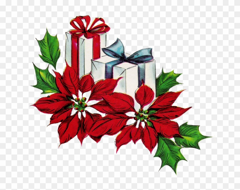 Poinsettias - Poinsettias #1226870