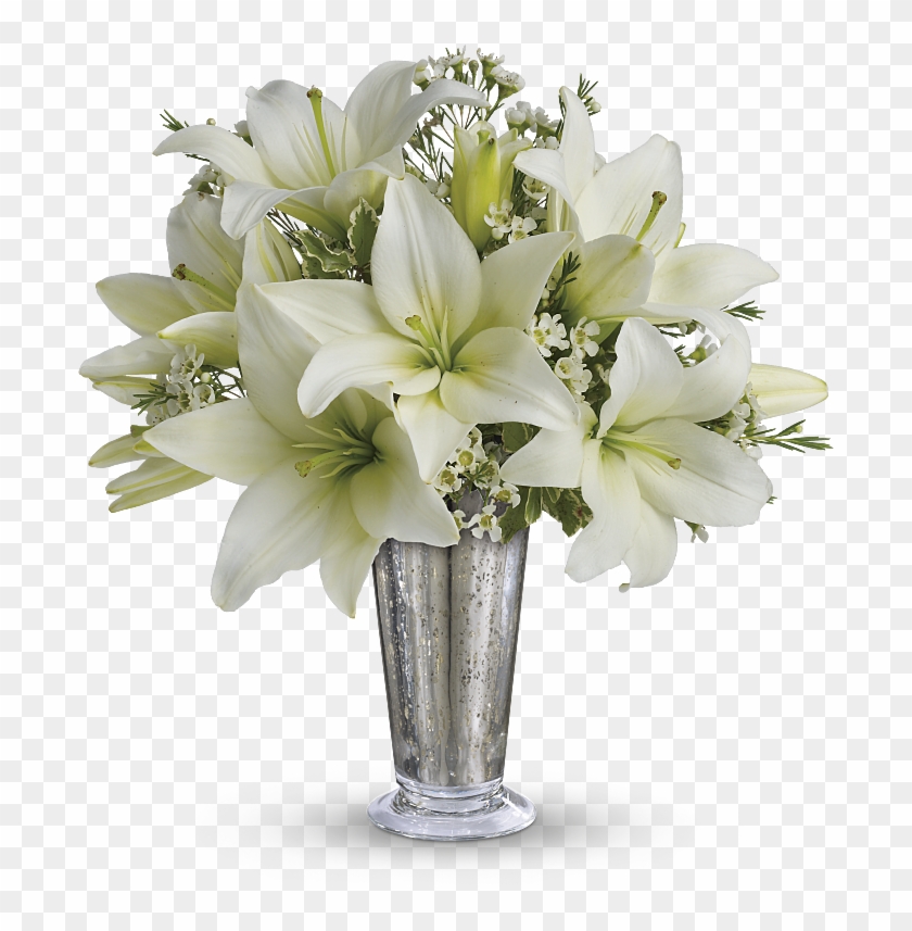 Shop For Lilies - Facts About Lily Flowers #1226888