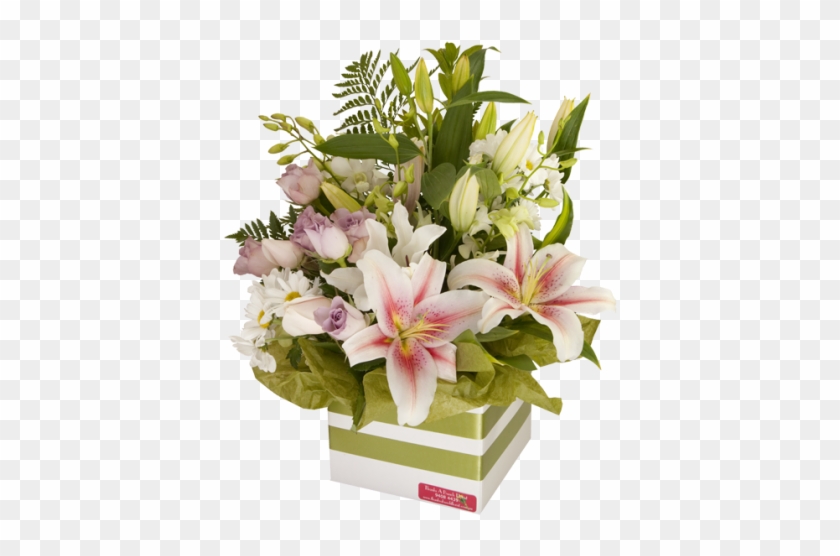 Pastel Lily Sympathy - Photography #1226893