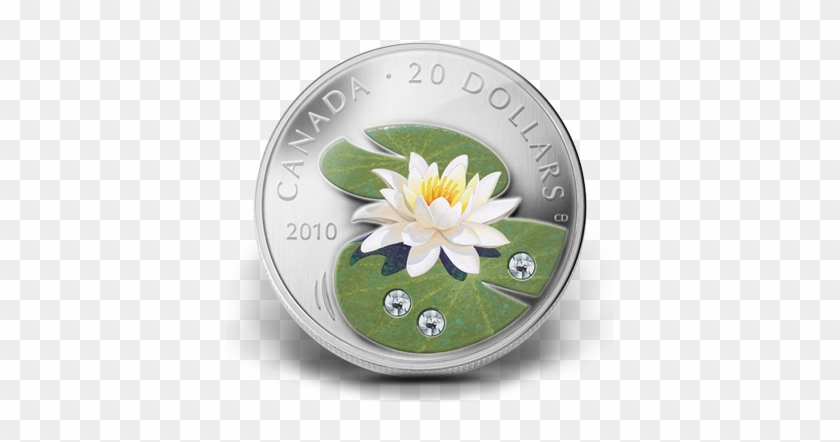 Canadian 20 Dollar Coin #1226956