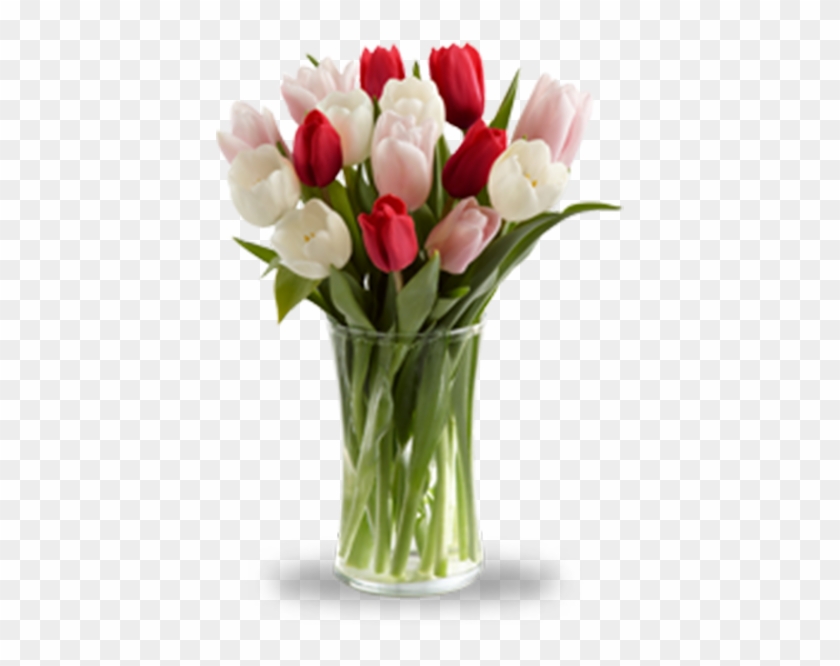 Tulipanes En Cristal - White And Orange Tulips #1226972