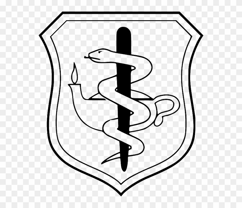 States, Symbol, Lamp, Doctor, Nurse, Shield - Air Force Nurse Badge #197096