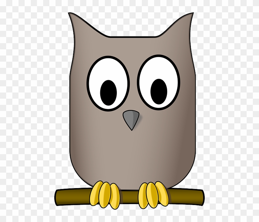 Nature Owl, Animal, Aves, Bird, Eyes, Nature - Cartoon Athenas Owl #197257