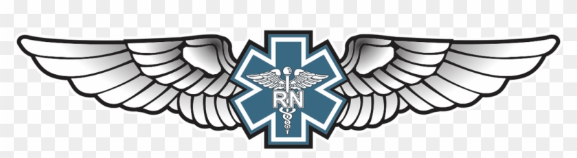 Picture - Flight Paramedic Wings #197492