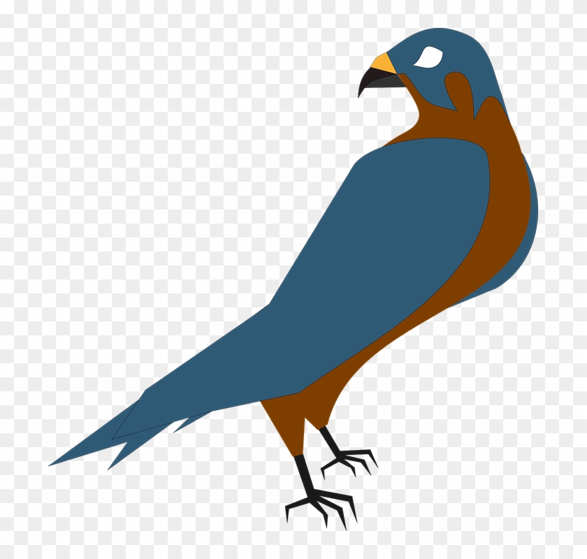 Falcon Clip Art - Falcon Clipart Png #197694