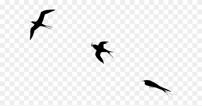 Bird Flight Clip Art - Bird #200180