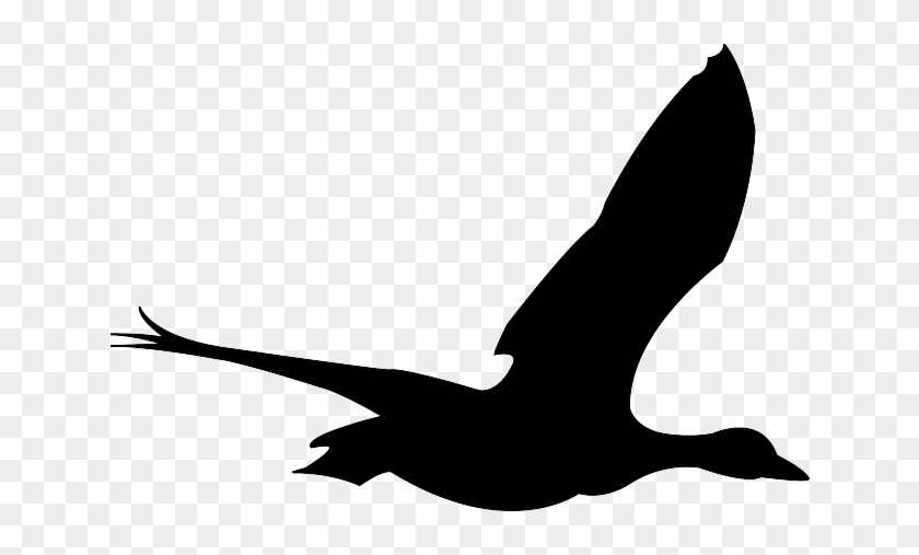 Silhouette Black, Simple, Outline, Drawing, Sketch, - Clip Art Flying Bird #200196