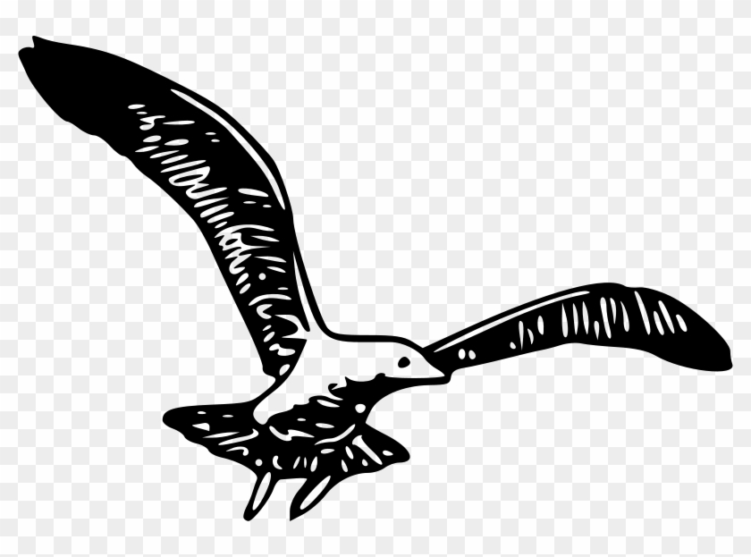 Herring - Clipart - Bird Clipart Spread Wings #200200