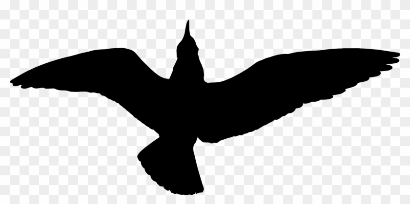 Seagull Silhouette - Seagull Silhouette #200314