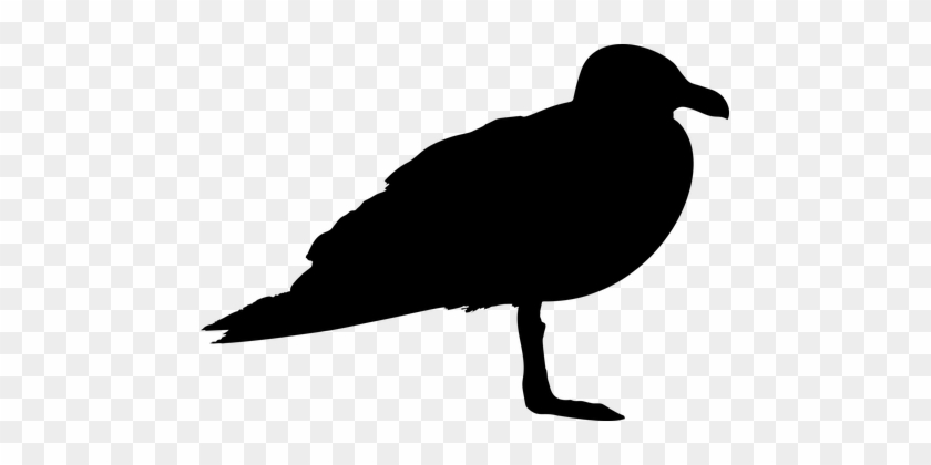 Seagull, Bird, Animal, Profile - Seagull Silhouette Clip Art #200346