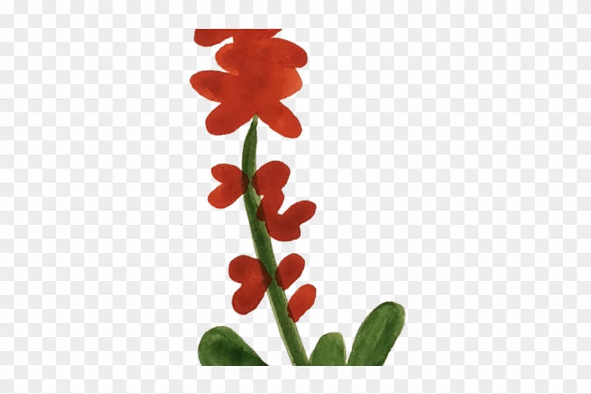 Red Flower - Red Flower #200501