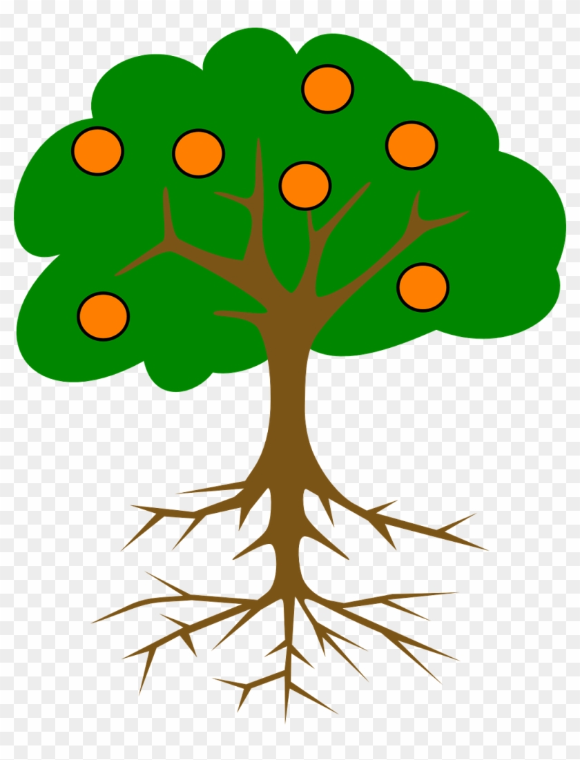 Polar Express Clip Art - Tree With Fruits Drawing #200529