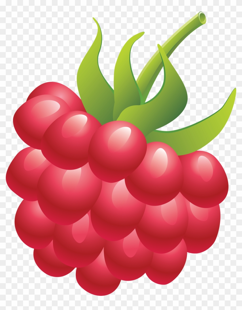 Raspberry Clipart - Raspberry Clipart Png #200617