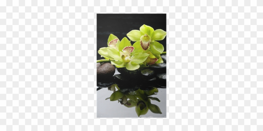 Haara Vihreä Orkidea Kanssa Zen Kivet Heijastus Juliste - Orchids #1227000