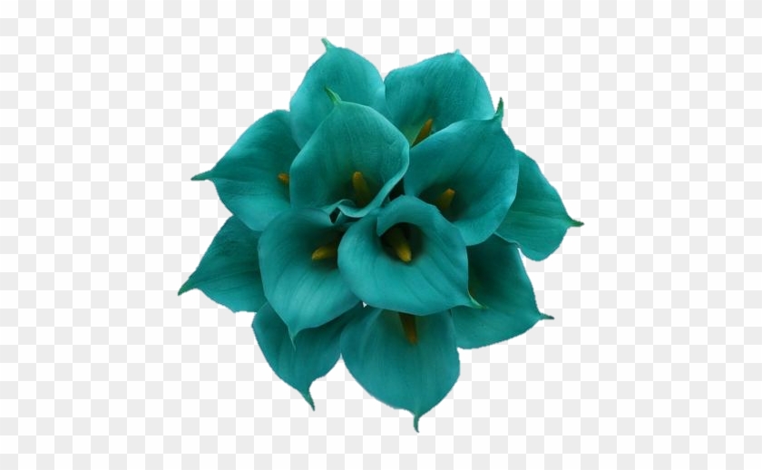 #aqua #teal #turquoise - Types Of Turquoise Flowers #1227002