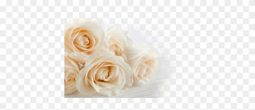 Warning - - Flower For Wedding Png #1227132