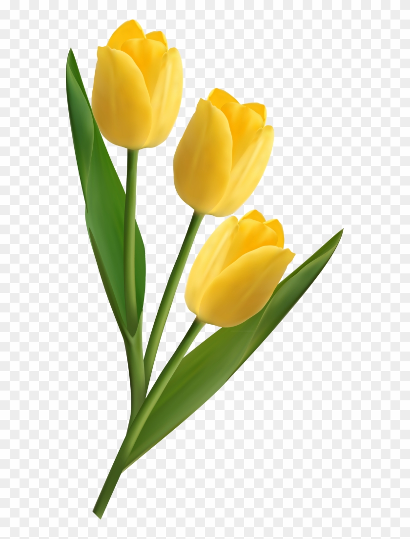 Easter Flower Orders - Vector Graphics #1227133