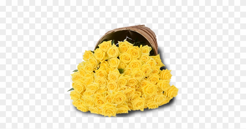 Yellow Roses - Bunch Of 100 Yellow Roses #1227151