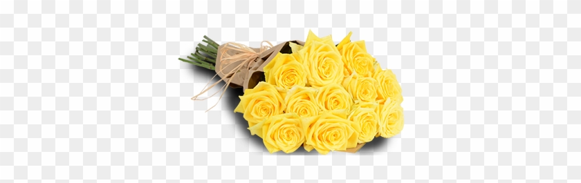 Yellow Roses - Garden Roses #1227153