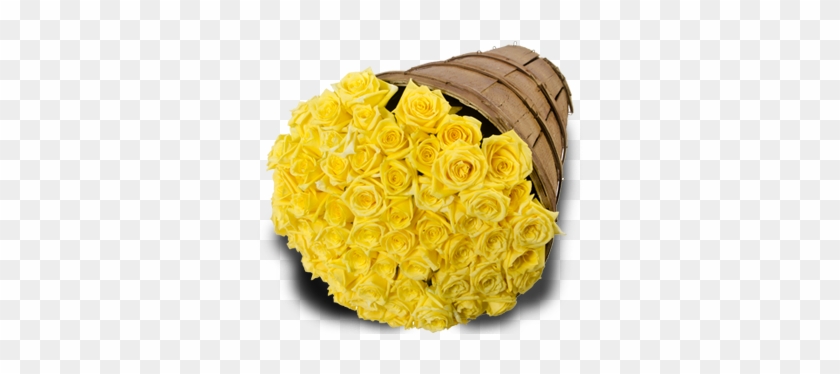 Yellow Roses - Garden Roses #1227154
