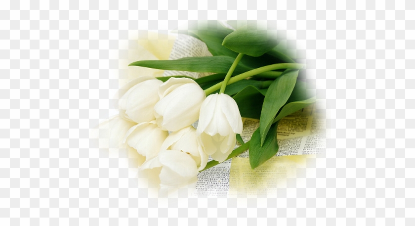 Tube Fleur En Blanc - 3drose White Tulips, Mouse Pad, 8 By 8 Inches #1227167