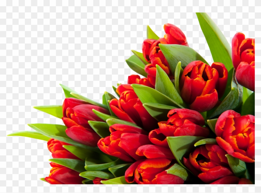 Gz 60 Backgrounds V Alles Gute Zum Geburtstag Blumen Free Transparent Png Clipart Images Download