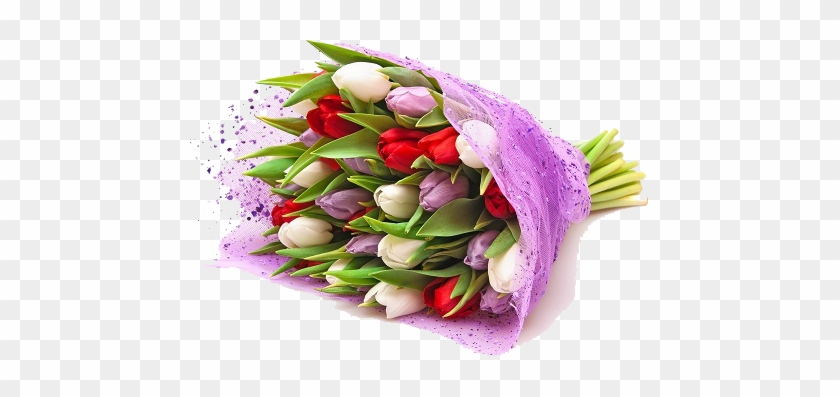 Flower Bokeh Png - / Lot Rare Tulip Seeds Bulbs Mix Available Tulips Variety #1227395
