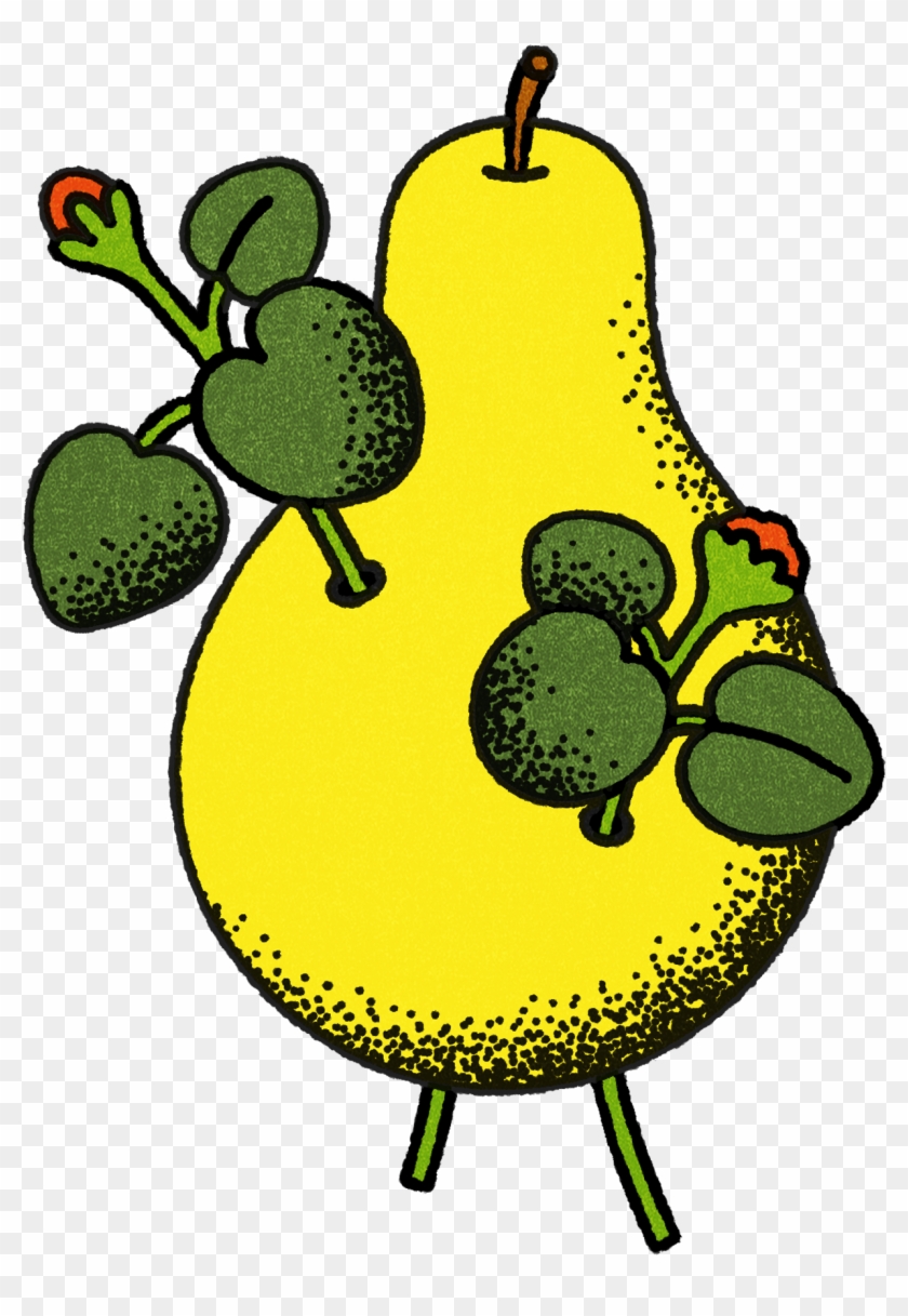 Brad Norr - Brad Norr #1227927