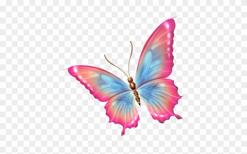 Papillons - Розовая Бабочка Png #1228124