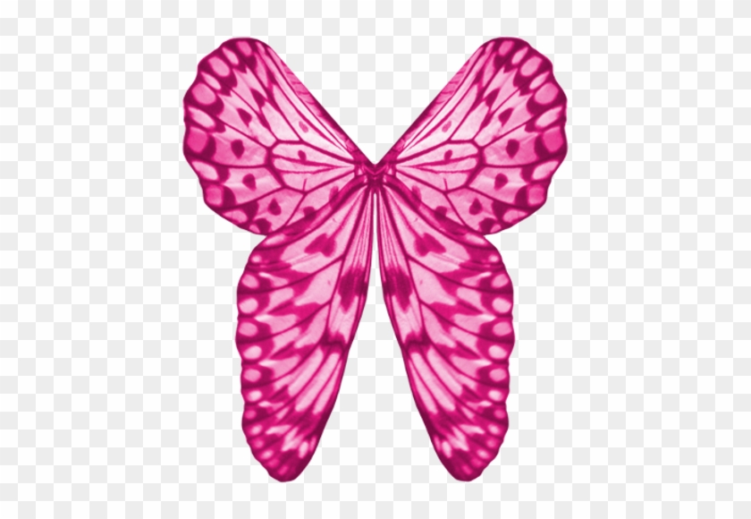 Wings Pink By Clipartcotttage - Clip Art #1228146