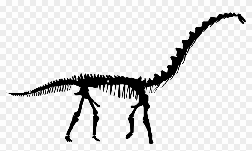 Silhouette Du Squelette D'un Rapetosaurus Juvénile - Bones Vector Silhouette Dinosaur #1228354
