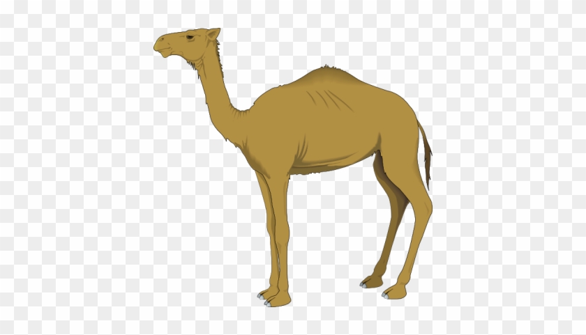 Camel Free To Use Clipart - Camel Clip Art #1228495